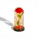 Wieczna Róża w Szkle LED – CZERWONA + Pudełko Prezentowe