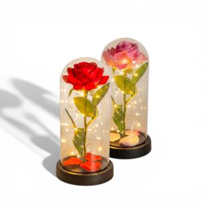 Dwie wieczne róże w szklanych kopułach z oświetleniem LED - czerwona i różowa obok siebie